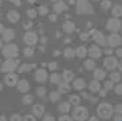 쓰촨성 Kunwei Langsheng 압출 지능형 설비 유한 회사